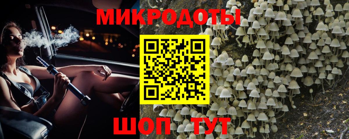 Псилоцибиновые грибы Psilocybine cubensis Астрахань