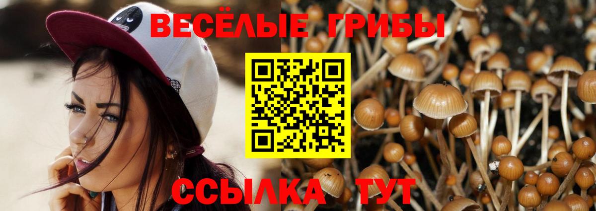 Астрахань  Псилоцибиновые грибы GOLDEN TEACHER  Псилоцибиновые грибы мухоморы  хочу наркоту  Вход с VPN 